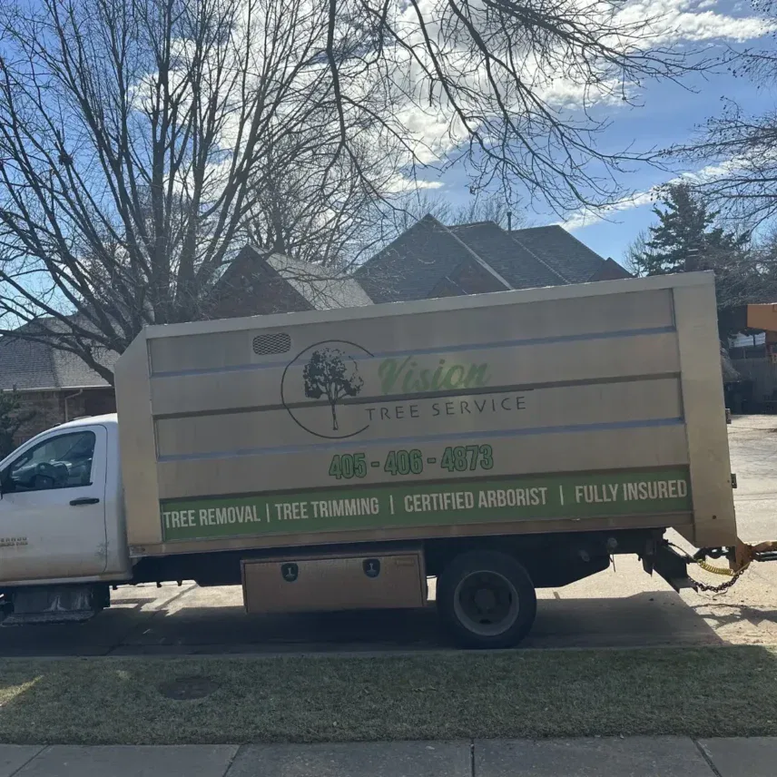 insurance for fallen tree removal