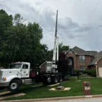 Full Property Tree Assessment
