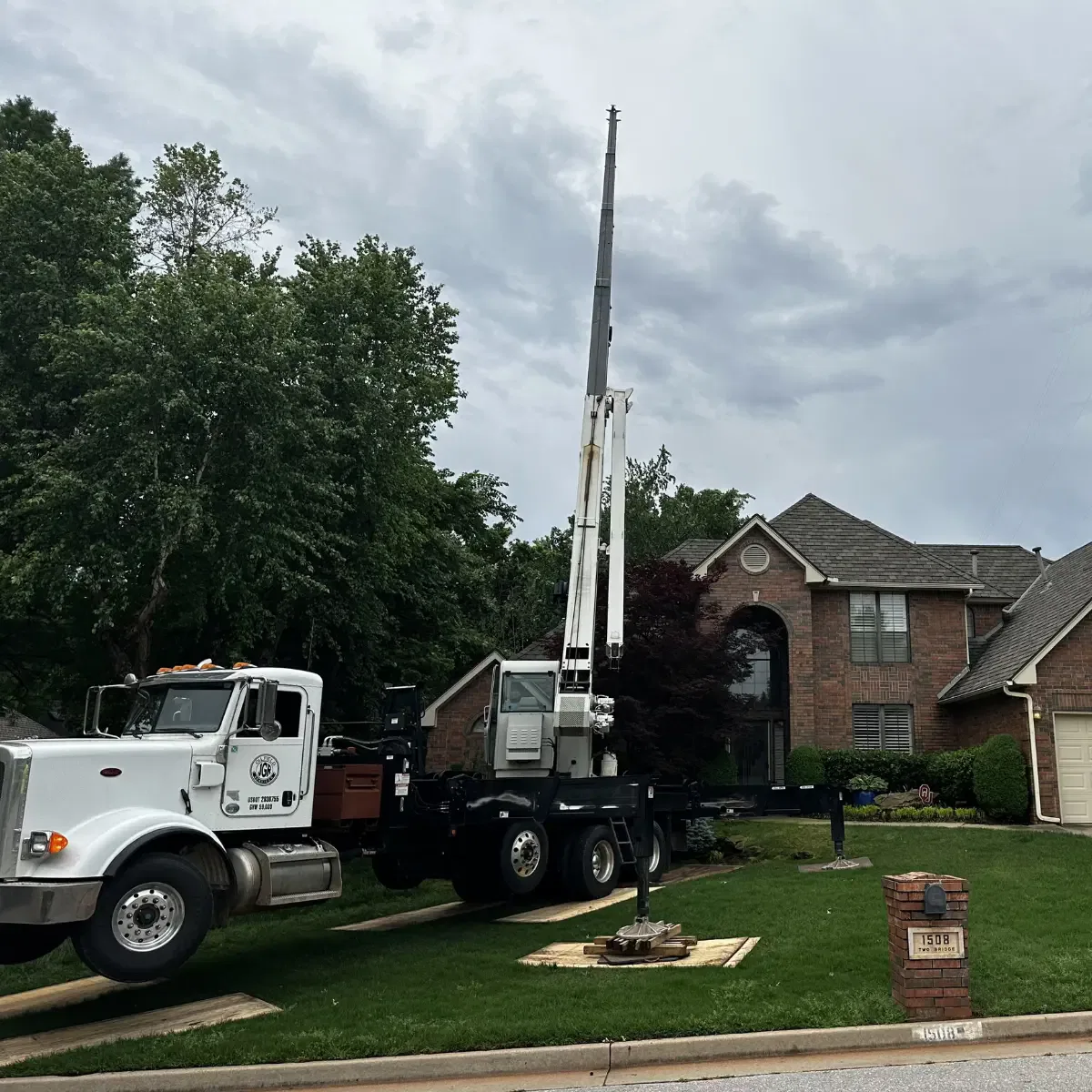 Full Property Tree Assessment