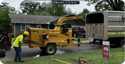 Emergency Tree Removal And Storm Response