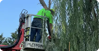 Structural Pruning