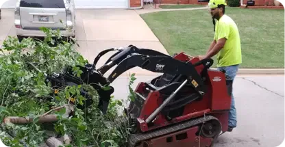 Plant And Shrub Health Care