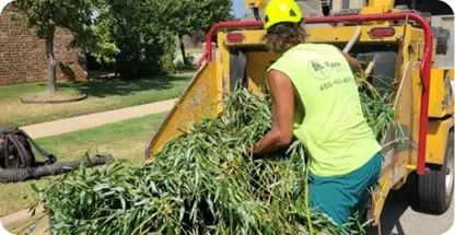 Debris Removal And Site Cleanup