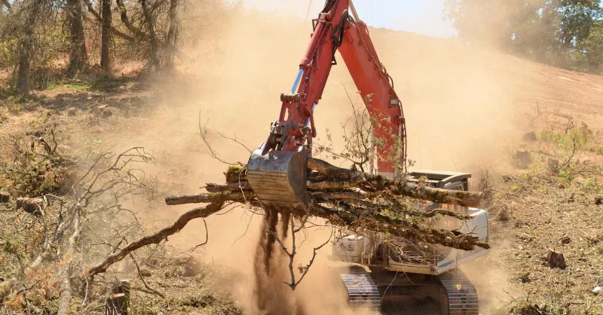 Brush Clearing in Oklahoma City, OK