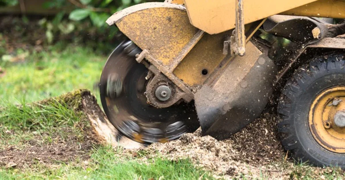 Stump Removal & Stump Grinding in OKC
