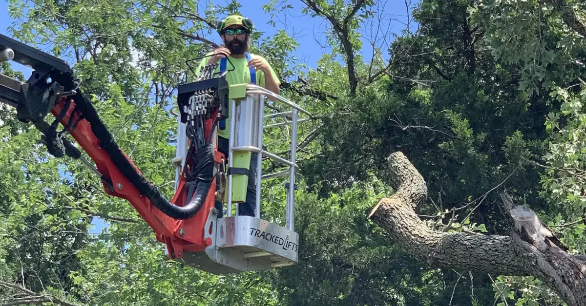 Arborist