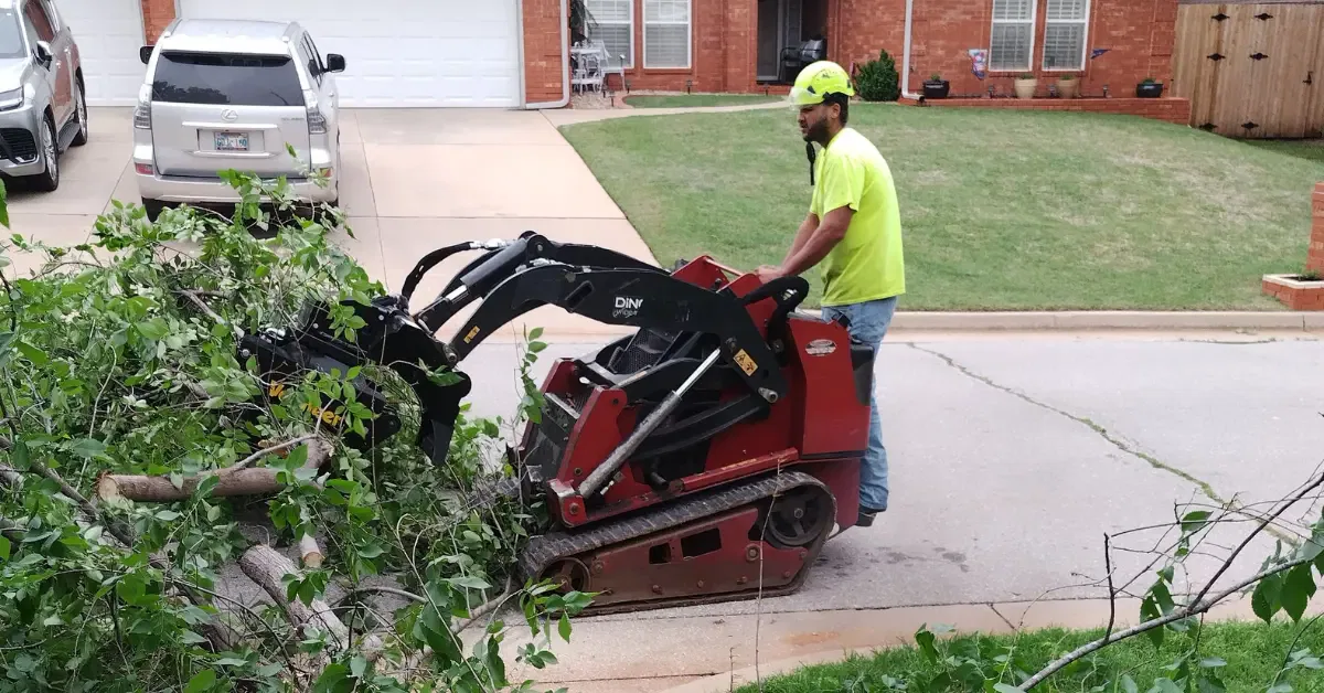 Tree Debris Removal