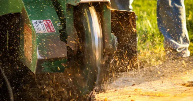 Importance of Stump Grinding After Tree Removal