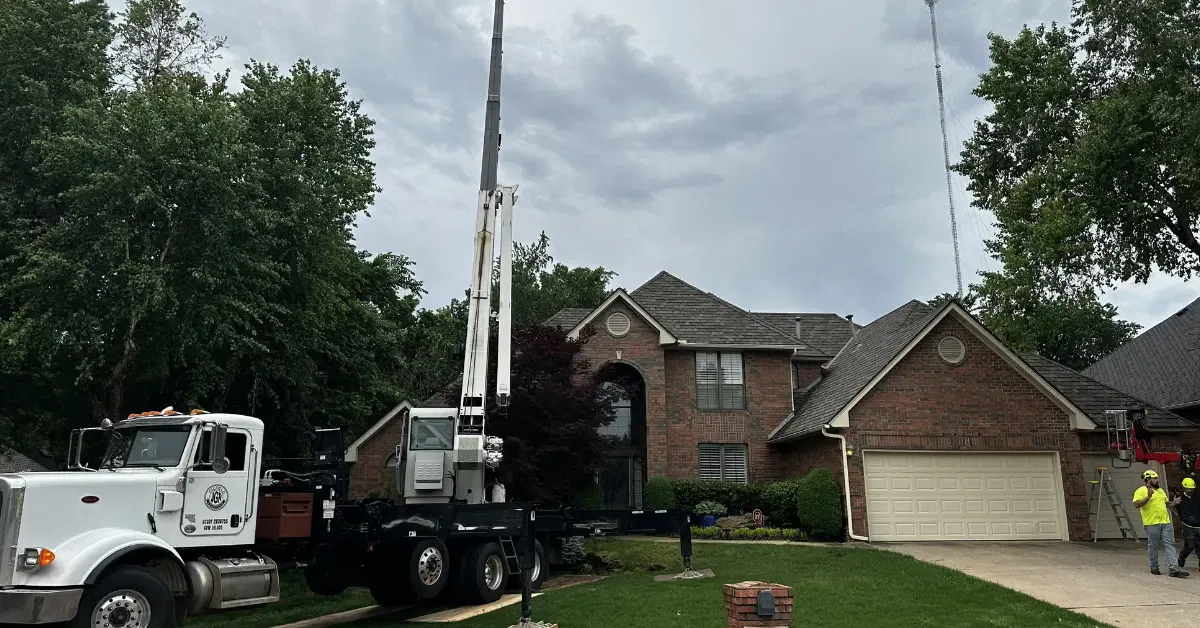 Vision Tree Service gallery 9