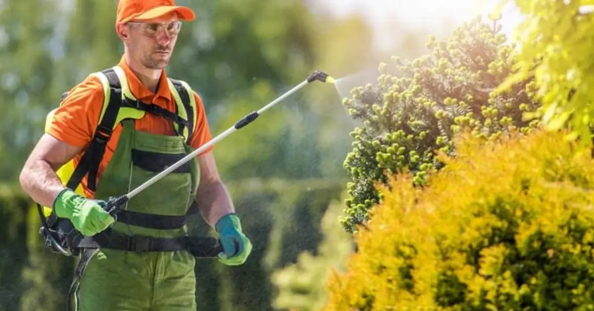 Tree Fertilization Services in OKC