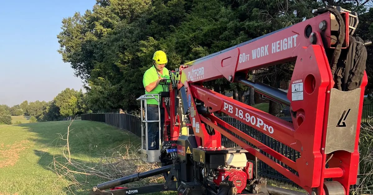 Tree Care